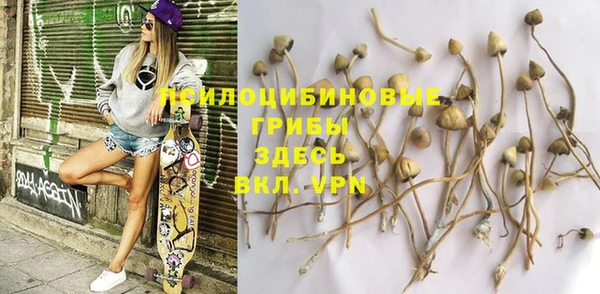 прущая мука Бородино