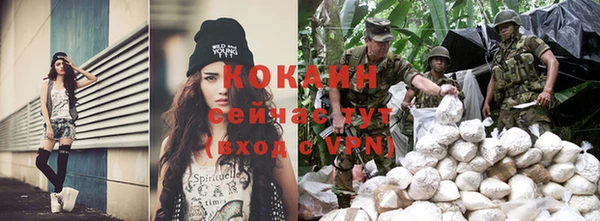 прущая мука Бородино